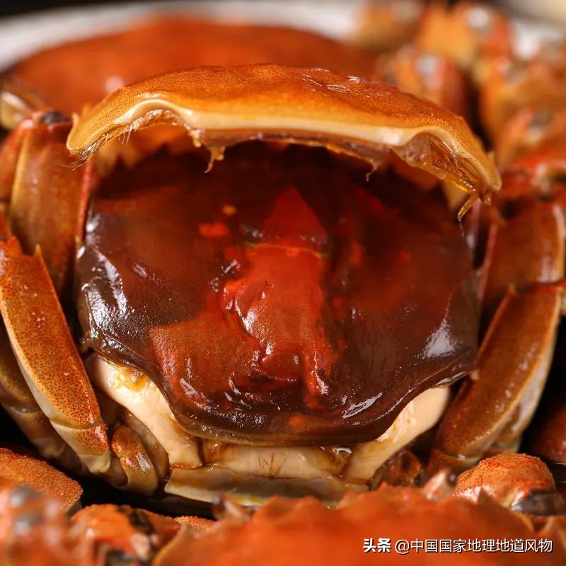 南方熟醉六月黄VS北方生腌皮皮虾,谁才是让人最爱的那口“鲜”?