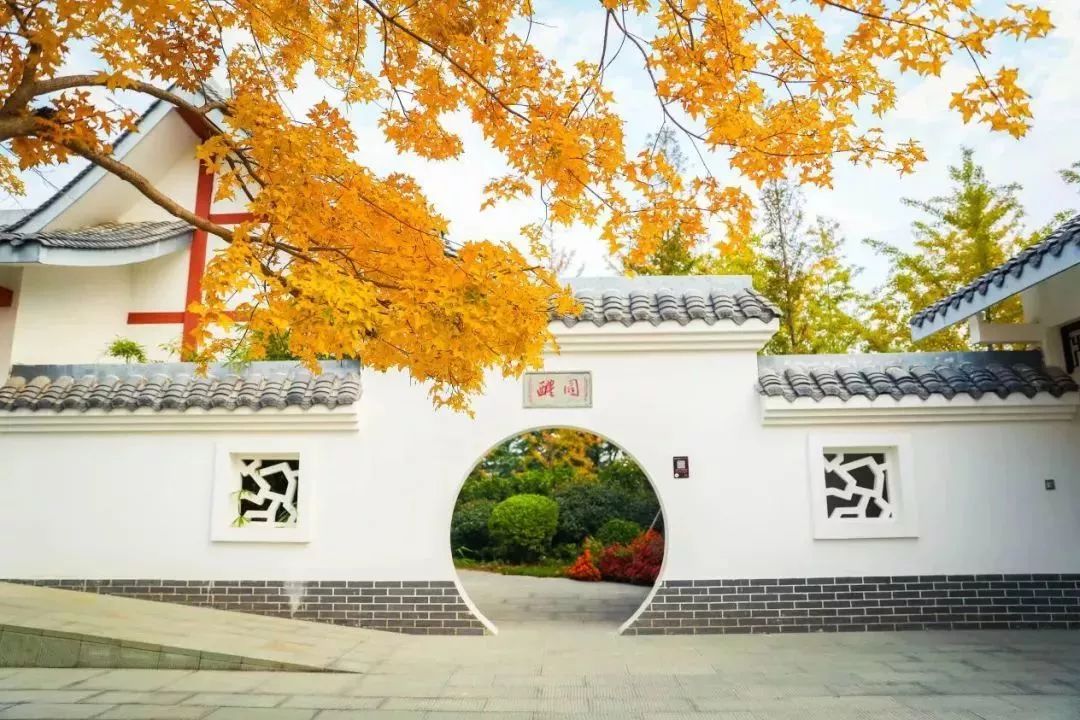 郑州漂亮的秋色风景,郑州的这些湖畔藏着最美的秋色