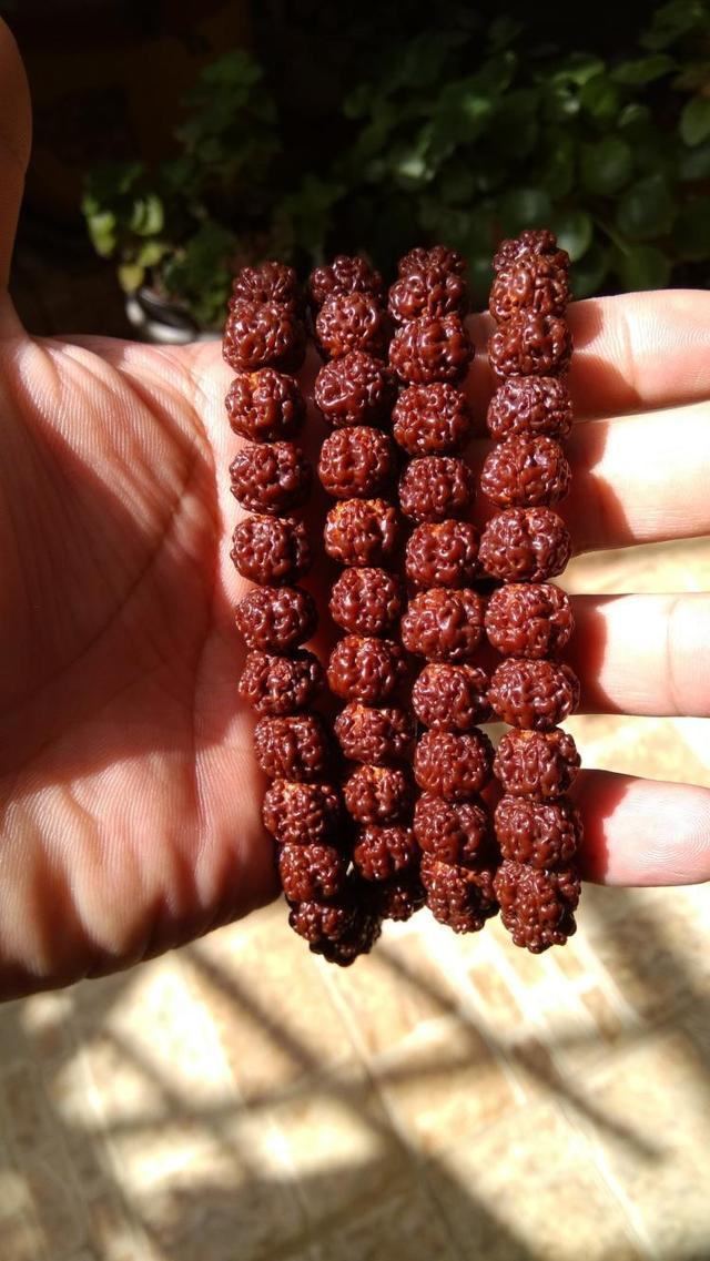 玩金刚菩提的9大误区,金刚菩提的基本知识