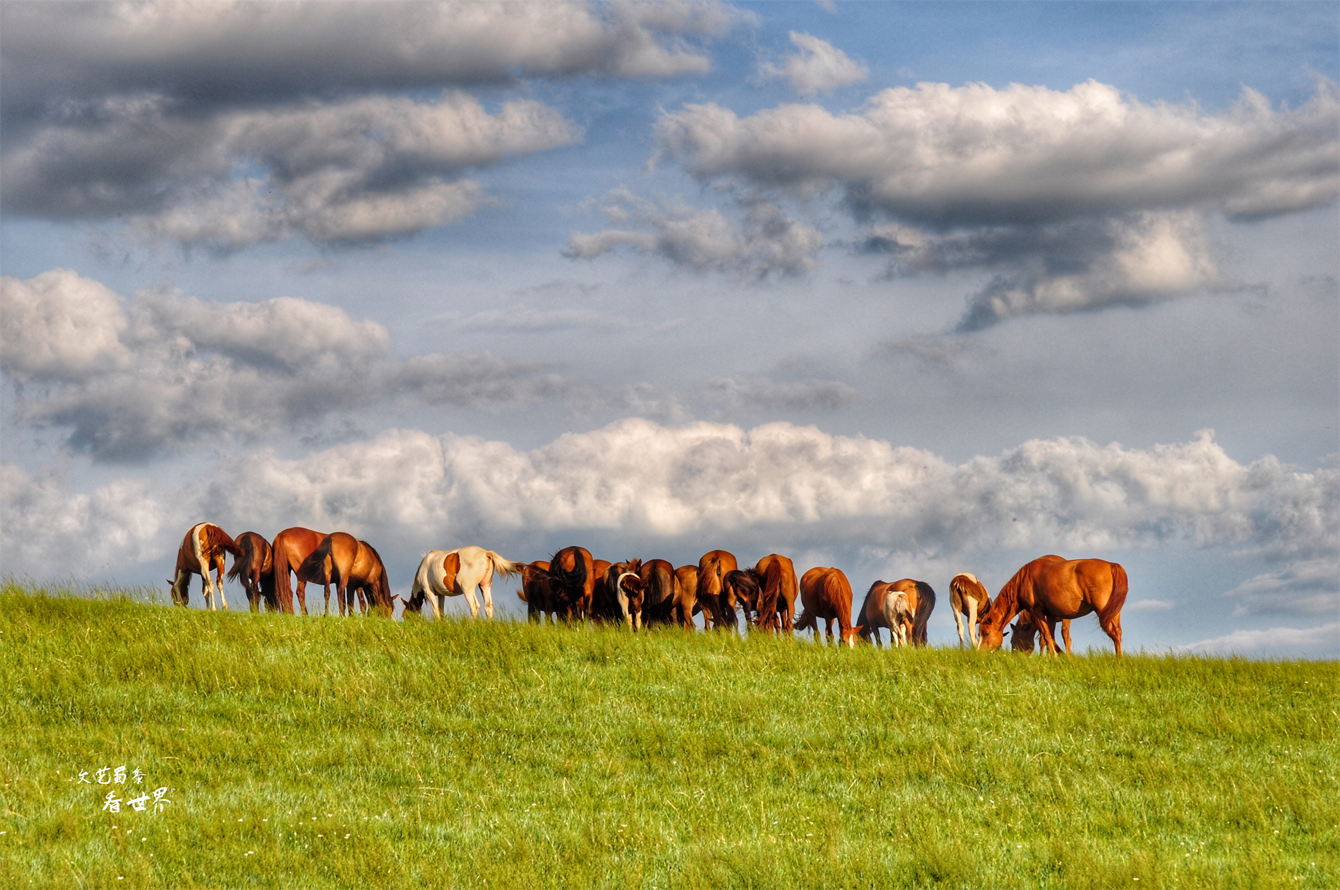 暑期旅游凉爽的地方推荐,暑假旅游推荐凉快地方5人