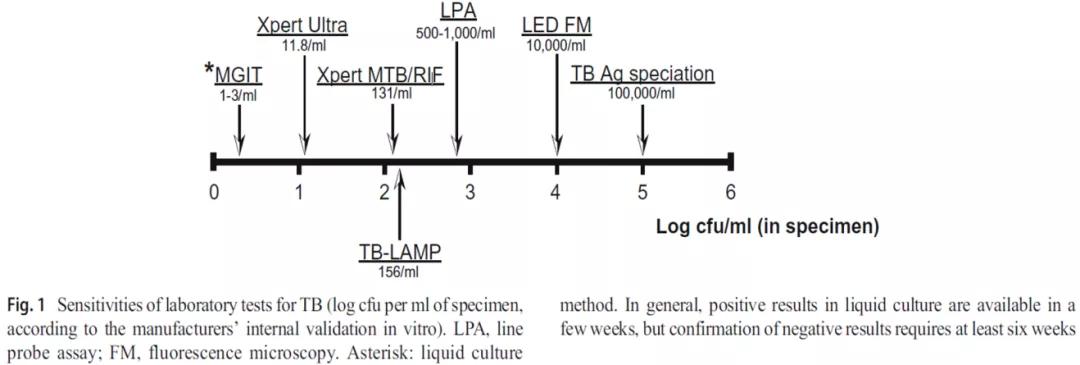 结核诊断方法和防治原则,结核的病原学诊断