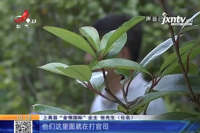 金领国际小区产权,上高金领国际四期迟迟未交房