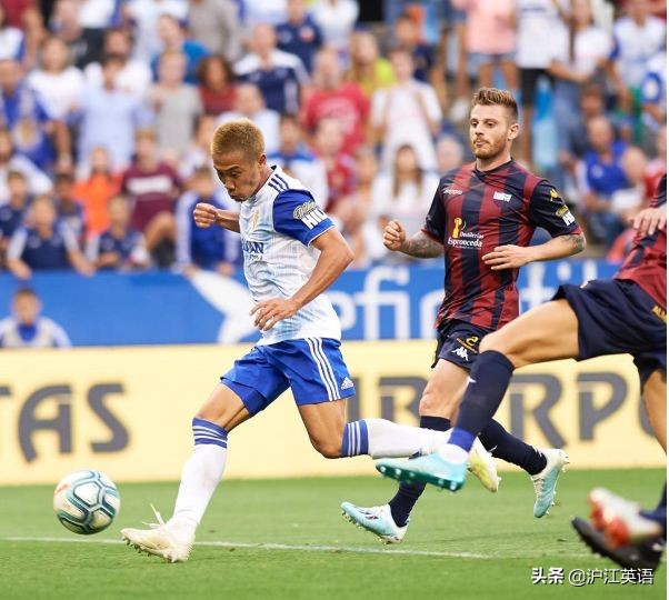 波司登代言人抖森,抖森被粉丝调侃的视频