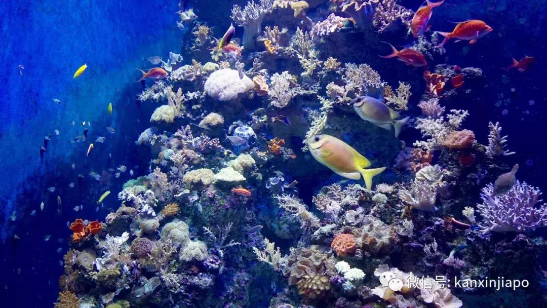 圣淘沙游玩路线攻略,圣淘沙名胜世界免费吗