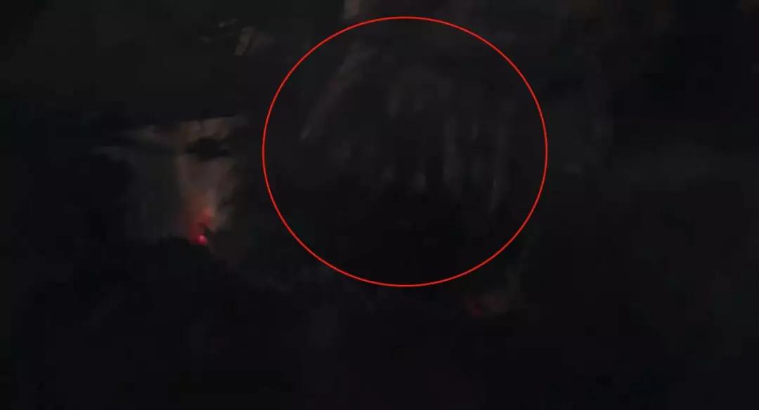 新变种人正片开场片段公开,新变种人角色能力介绍