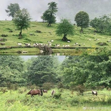 红了！黑竹沟迎来颜值巅峰，分分钟带你穿越五彩童话世界