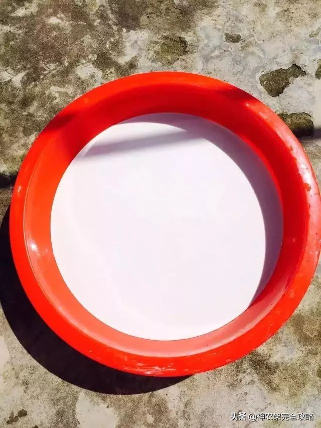 神农架前世今生,神农架祖先是谁