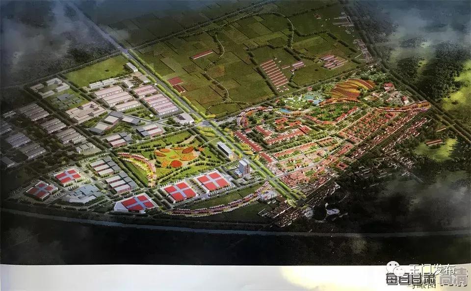 甘肃玉门枸杞项目,甘肃玉门的枸杞怎么样