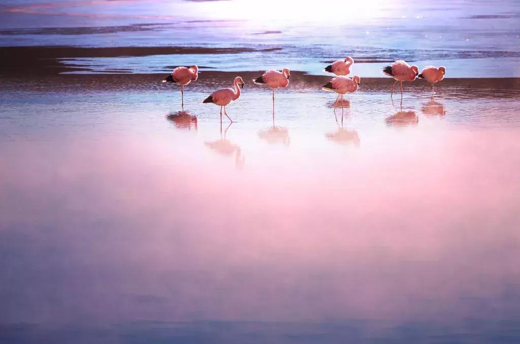 景美人少适合去哪里旅游,景美人少的旅游景点