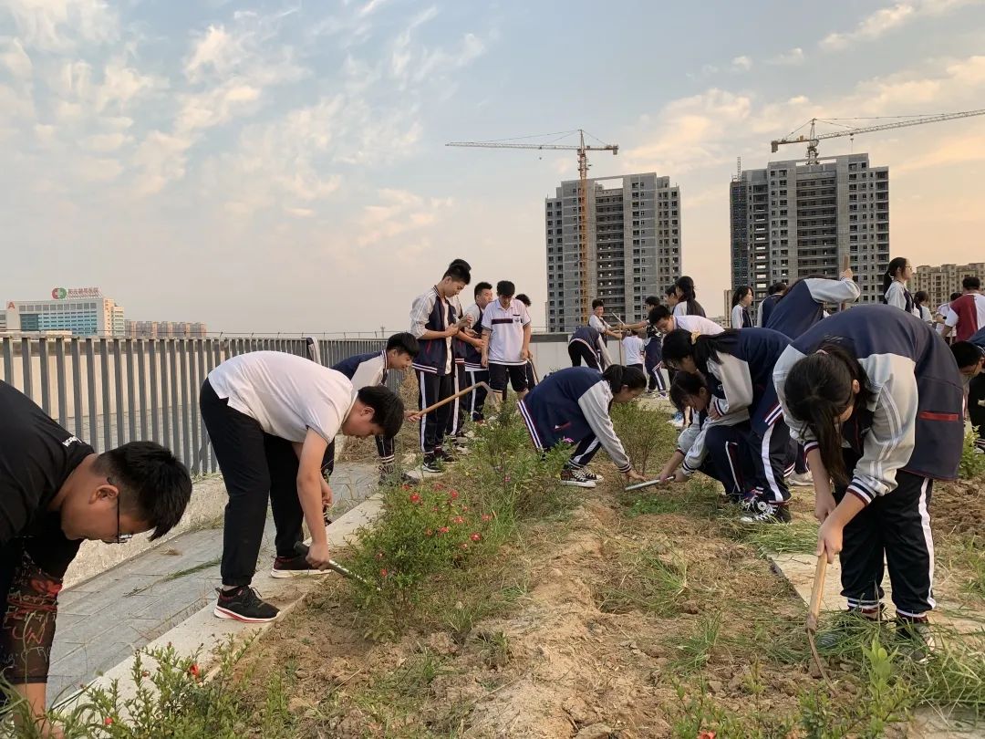 潍坊瀚声学校公开课,潍坊瀚声艺术节