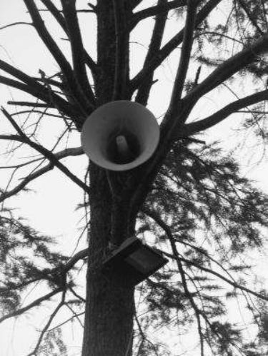 每个村都有大喇叭吗,农村大喇叭为什么越来越少了