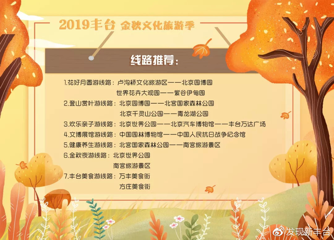 春夏秋冬银杏风景,旅游银杏是初冬最美的一道风景