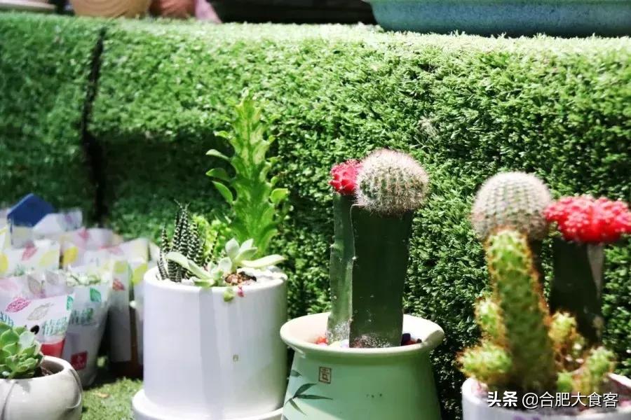 <html>
<head><title>502BadGateway</title></head>
<body>
<center><h1>502BadGateway</h1></center>
<hr><center>nginx</center>
</body>
</html>
<!--apaddingtodisableMSIEandChromefriendlyerrorpage-->
<!--apaddingtodisableMSIEandChromefriendlyerrorpage-->
<!--apaddingtodisableMSIEandChromefriendlyerrorpage-->
<!--apaddingtodisableMSIEandChromefriendlyerrorpage-->
<!--apaddingtodisableMSIEandChromefriendlyerrorpage-->
<!--apaddingtodisableMSIEandChromefriendlyerrorpage-->
