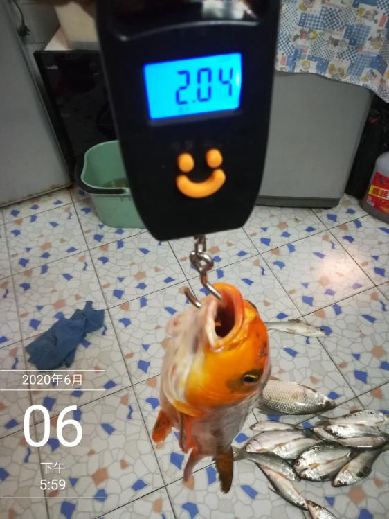 本汀太极黑棍7.2,本汀太极黑棍测试