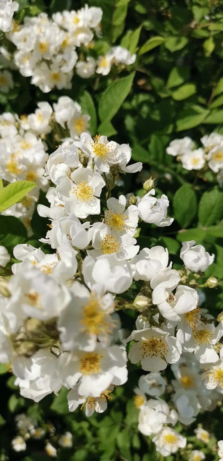 10.我的被离职道路（记如何被单位套路的血泪史过程）