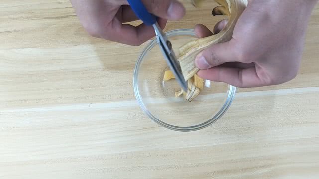 一招搞定蟑螂的方法,遇见蟑螂不要用脚踩它一招解决