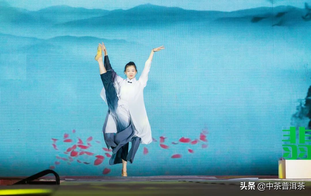 中茶翡翠白菜新品发布会,中茶八八青饼发布