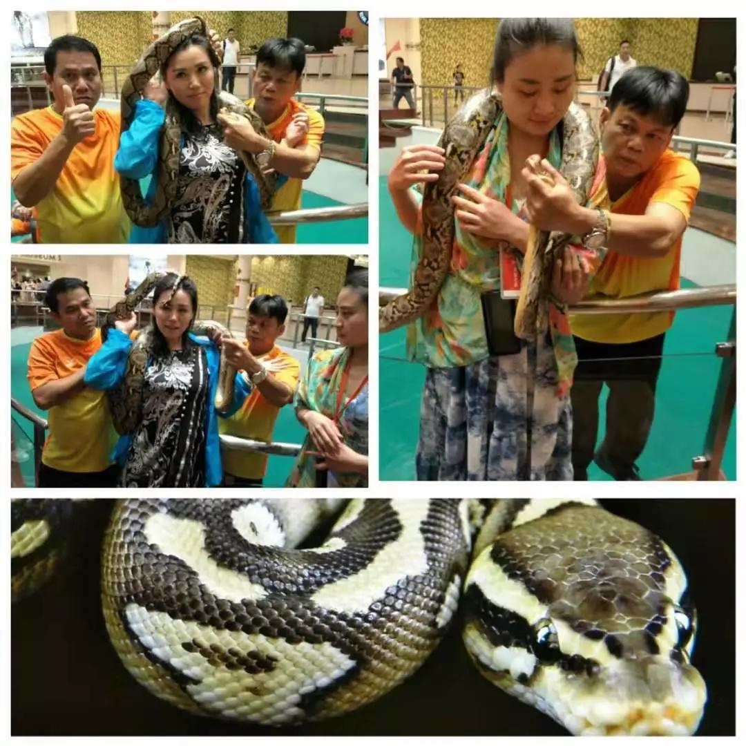 留下美好记忆的泰国之旅,泰国荣耀之旅