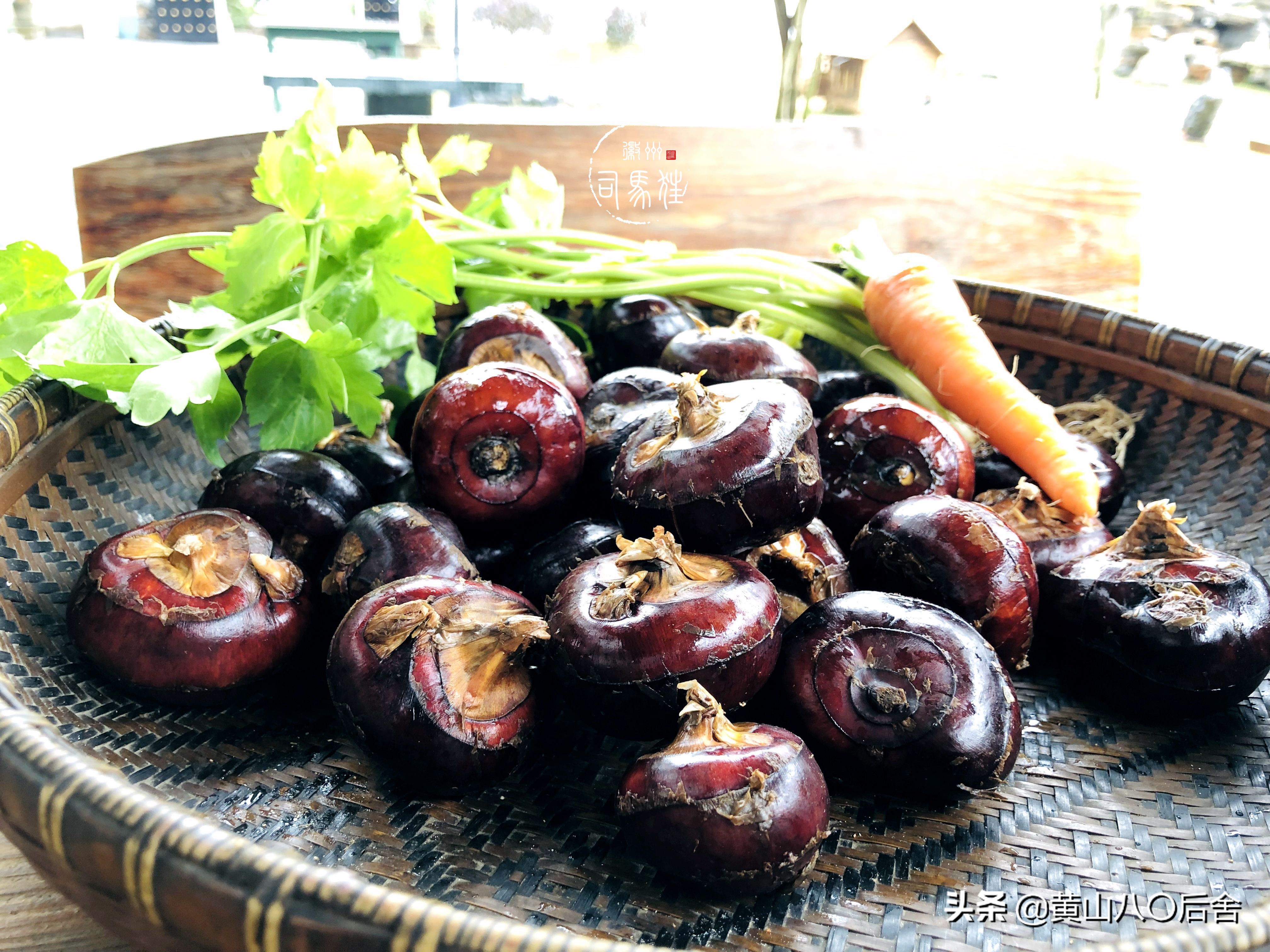 鑸屽皷涓婄殑涓浗榛勫北姝欏幙鑽歌崰,鑸屽皷涓婄殑缇庨鑽歌崰