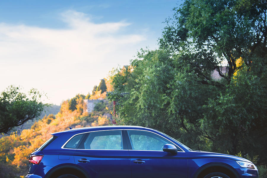 车主吐槽奥迪a4l味道大,车主评价奥迪a4l40豪华动感