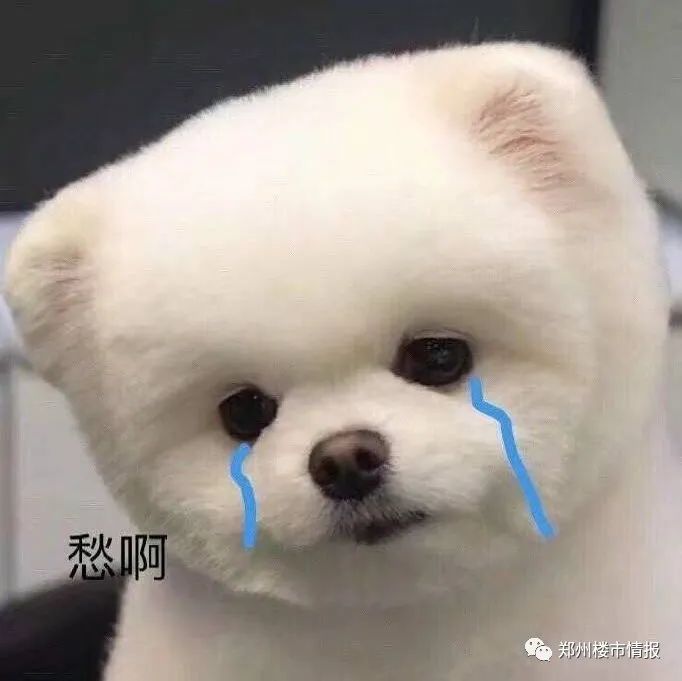 郑州郑东新区的房价为什么那么高,郑东新区房价为啥这么高