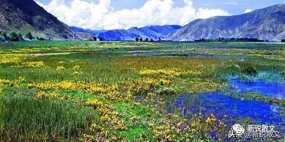 去拉萨一个缺氧的地方,拉萨是世界的中心