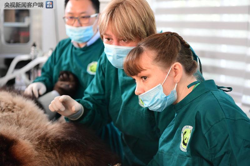 时政新闻眼｜习*平近**访俄首日，这些亮点点亮中俄关系新时代