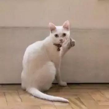 5款超好闻的沐浴露香到离谱,又好用又优惠又喷香的沐浴露