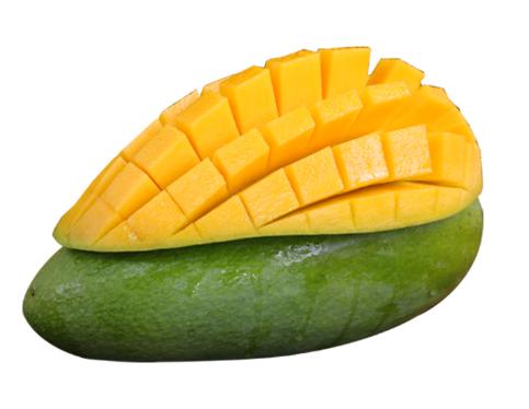 芒果吃饭攻略,芒果驾到