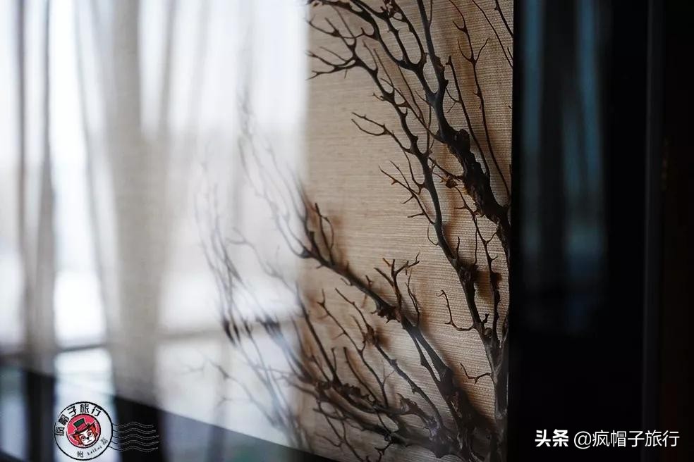 新加坡旅游住酒店攻略,去新加坡旅游住宿怎么选择