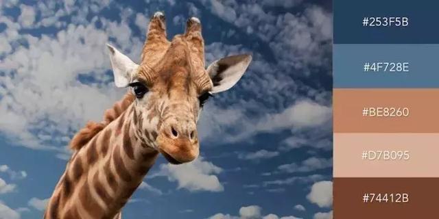 999张图片视频的卡点模板,服装设计素材收集与整理