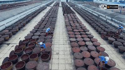 中国小有名气的酱，郫县豆瓣酱为何能被大众所喜爱？川菜不能没它