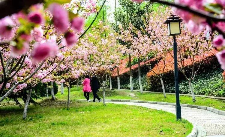 中国“林海”，你可能还不知道，这是一个低调很久了高颜值县城！