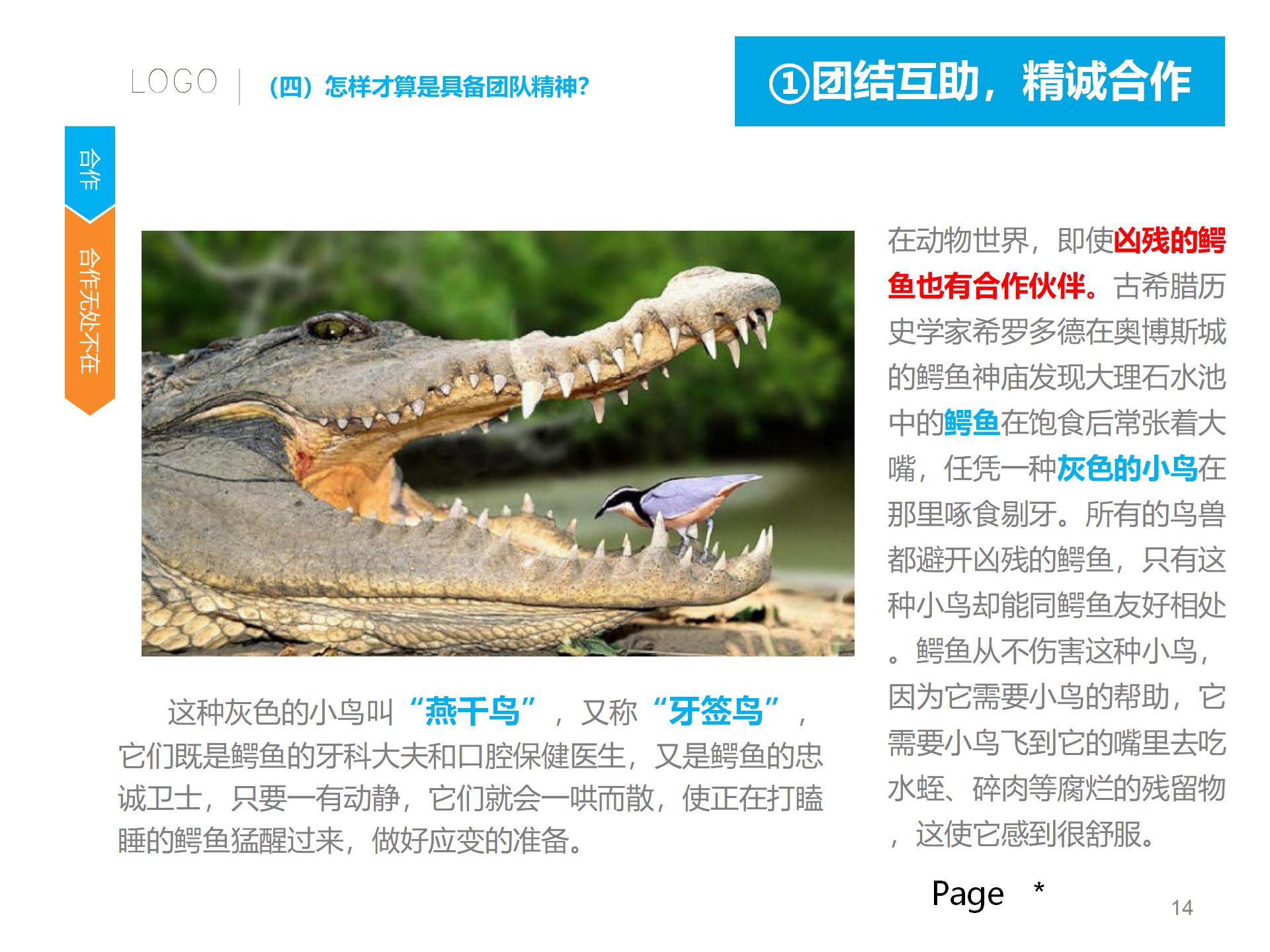 鍏徃鍛樺伐璐ｄ换蹇冨煿璁璸pt,浼佷笟鍥㈤槦鍑濊仛鍔涘煿璁璸pt