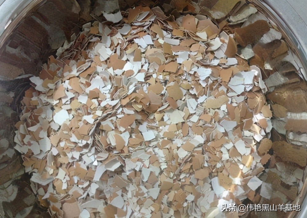 养殖黑山羊补贴,黑山羊喂什么料最好