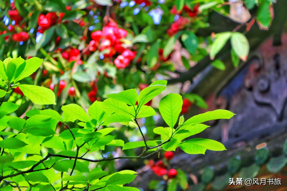 广东佛山百岁名园40年建成,关山月题名,罗哲文称它岭南第一园