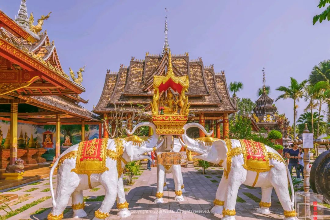 西双版纳泼水节野象谷,西双版纳旅游野象谷全攻略