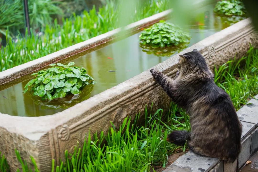 马霸霸|风度翩翩花荣荣