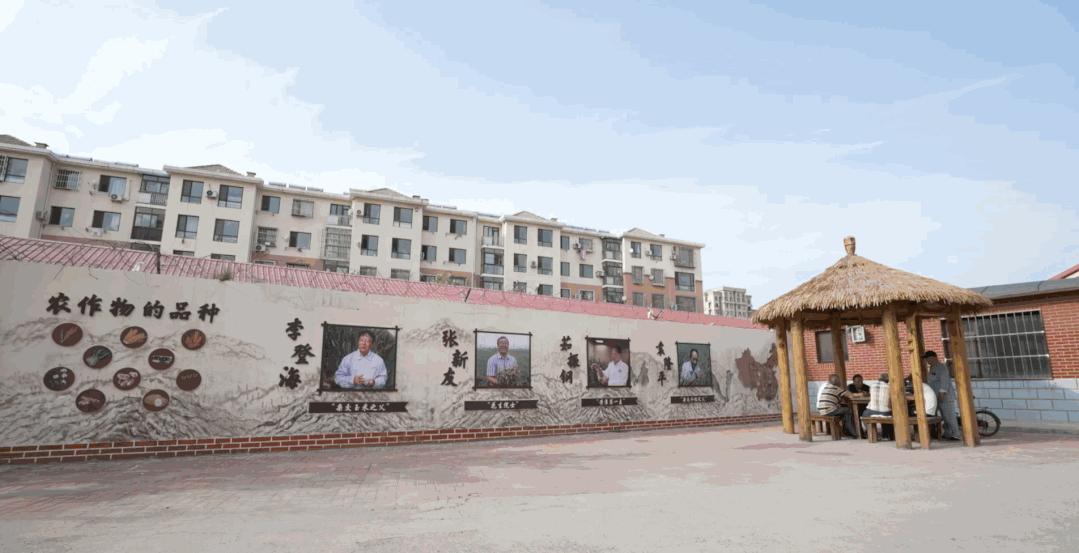 铁书记,铁书记的视频