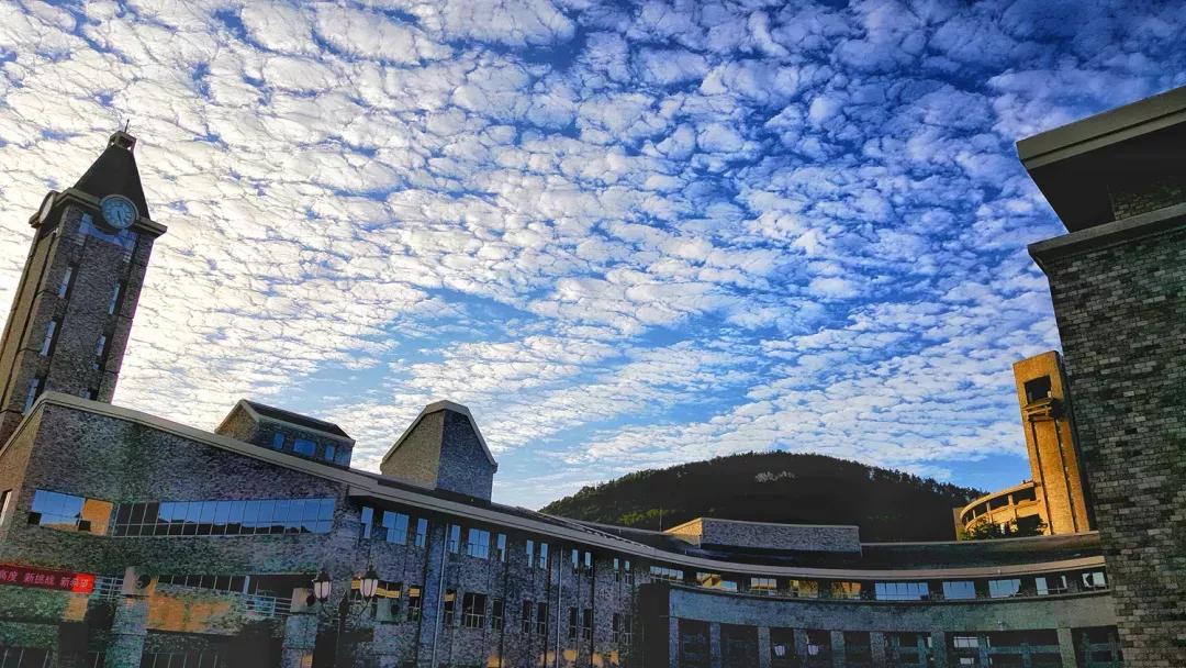 辽宁省民办大学（二）大连东软信息学院