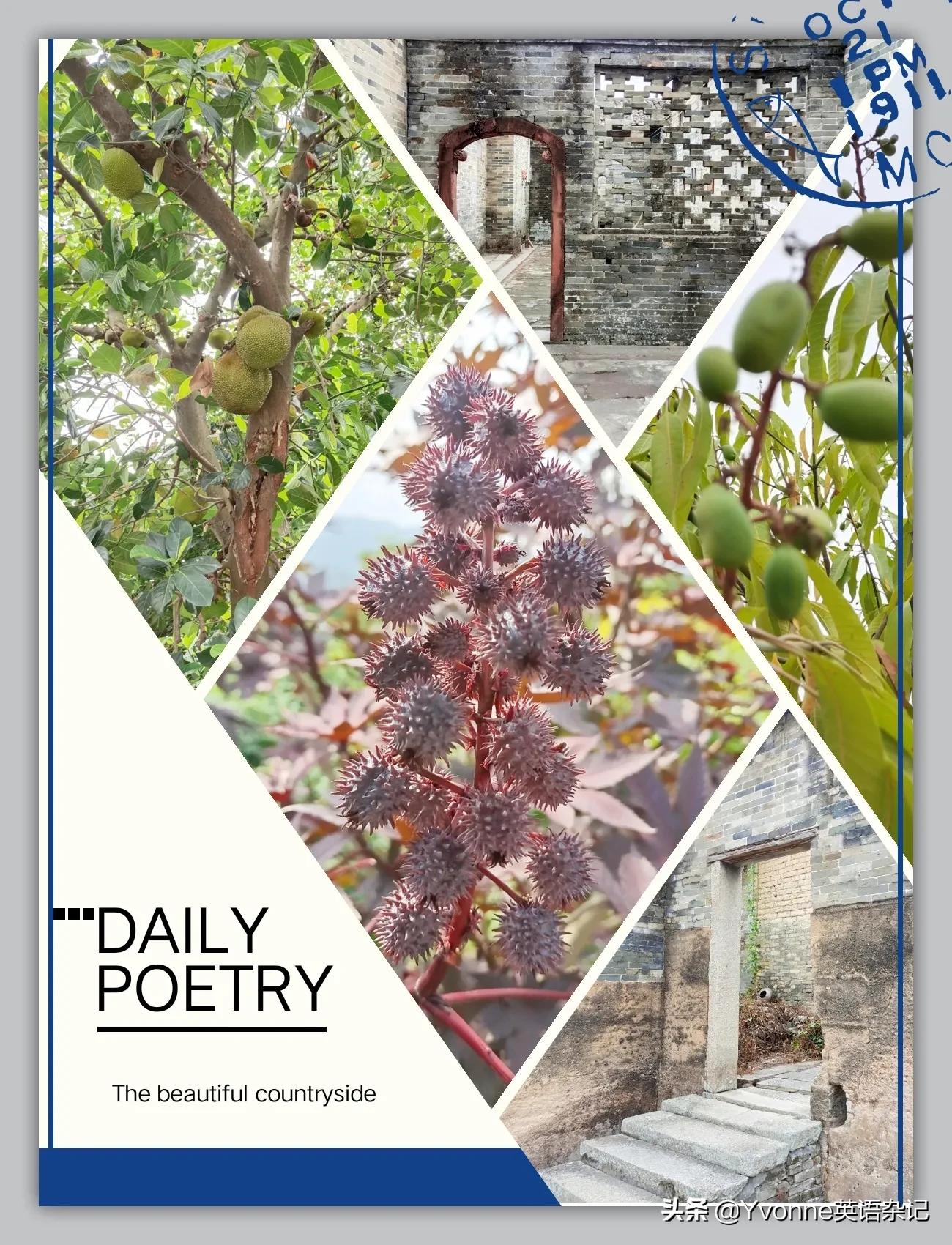 myweekendplan作文,myweekendplan英语作文