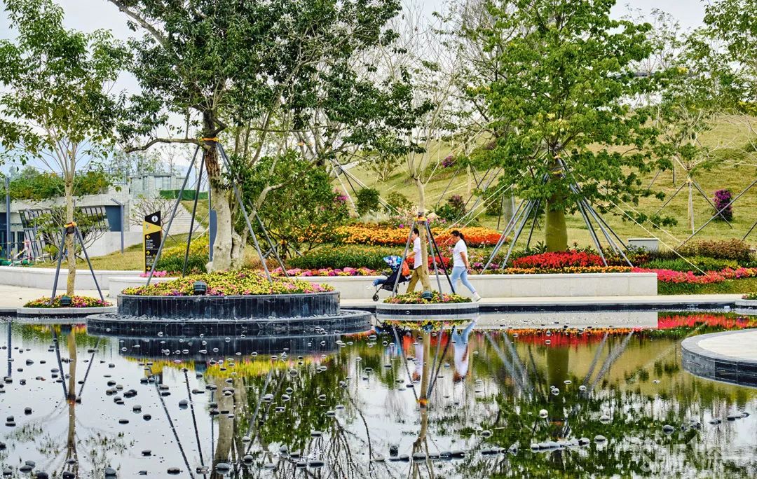 龙华新公园在哪里,深圳龙华区免费的公园