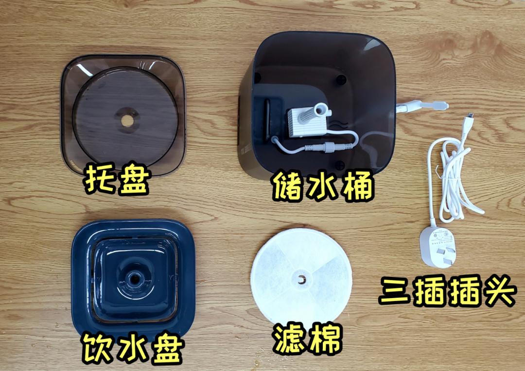 宠物饮水机“漏电”化身杨永信!你还敢让猫咪用它喝水吗?