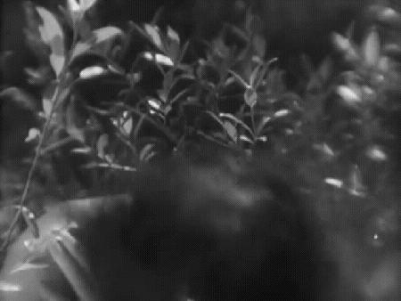 花木兰古代战争,花木兰对战争的影响