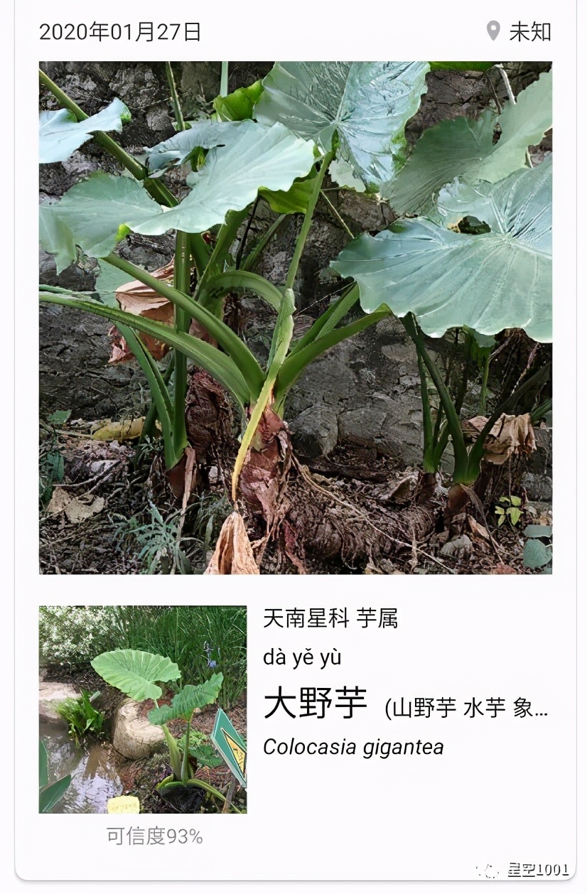 春节假期记,记录2022春节假期