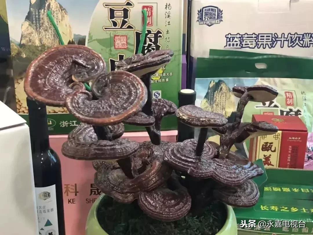 金奖脆豆腐,豆腐大赛金奖菜品