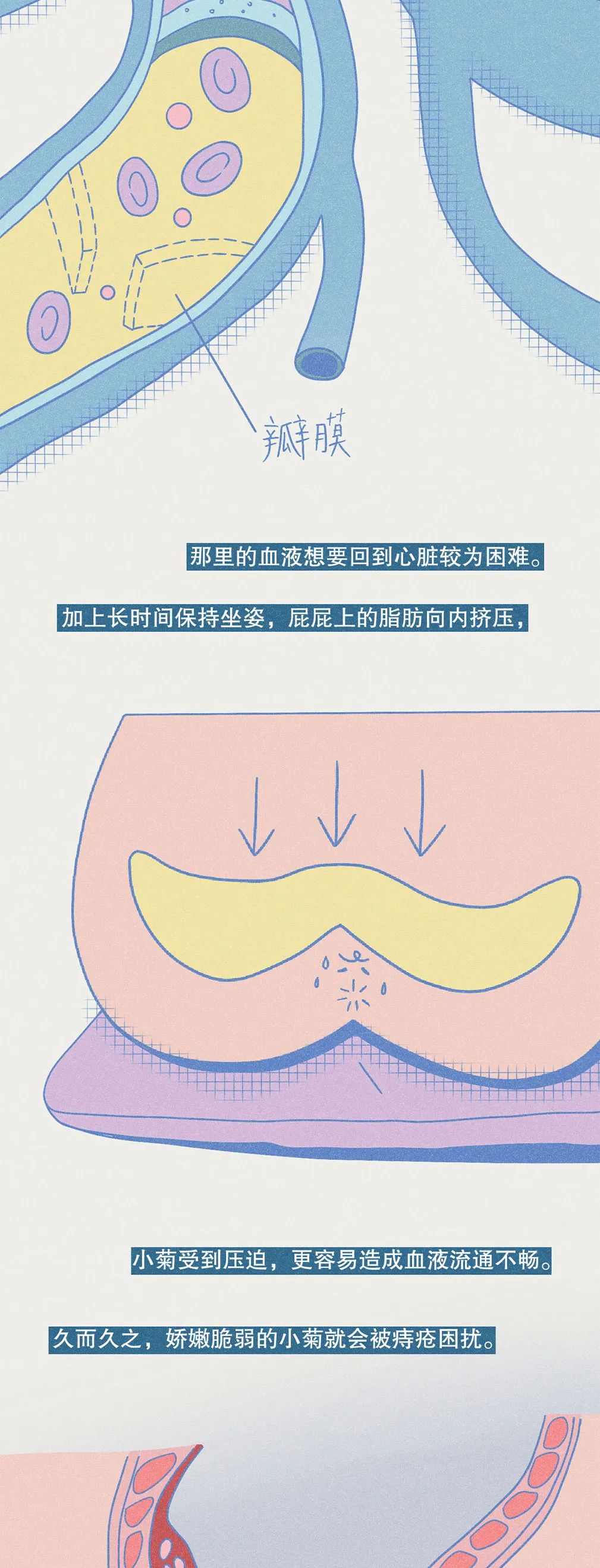 提肛运动的正确做法,提肛有什么好处