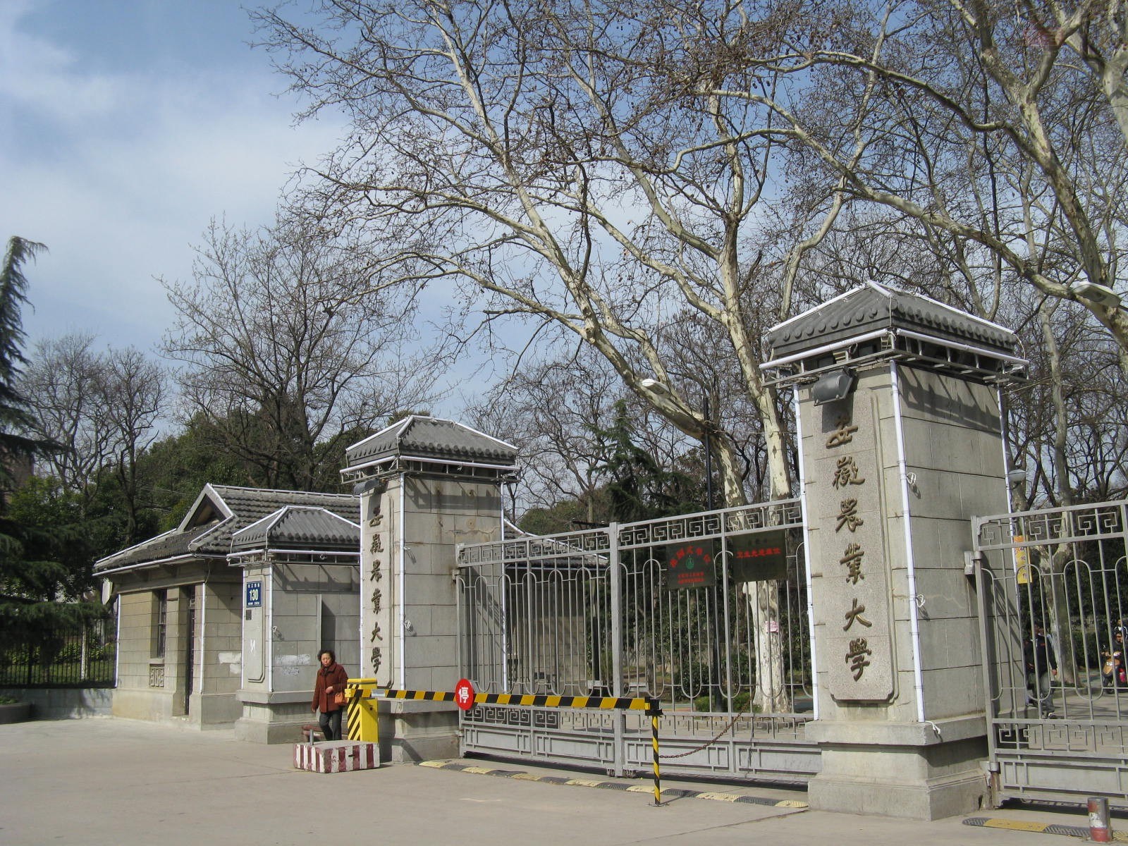 盘点院校前身中央民族大学,安徽农业大学前身是什么