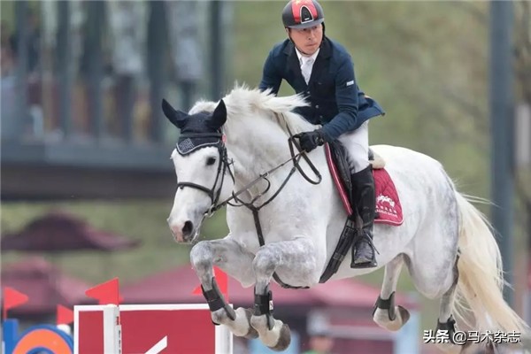 中国马术场地障碍锦标赛,中国马术场地障碍年终总决赛