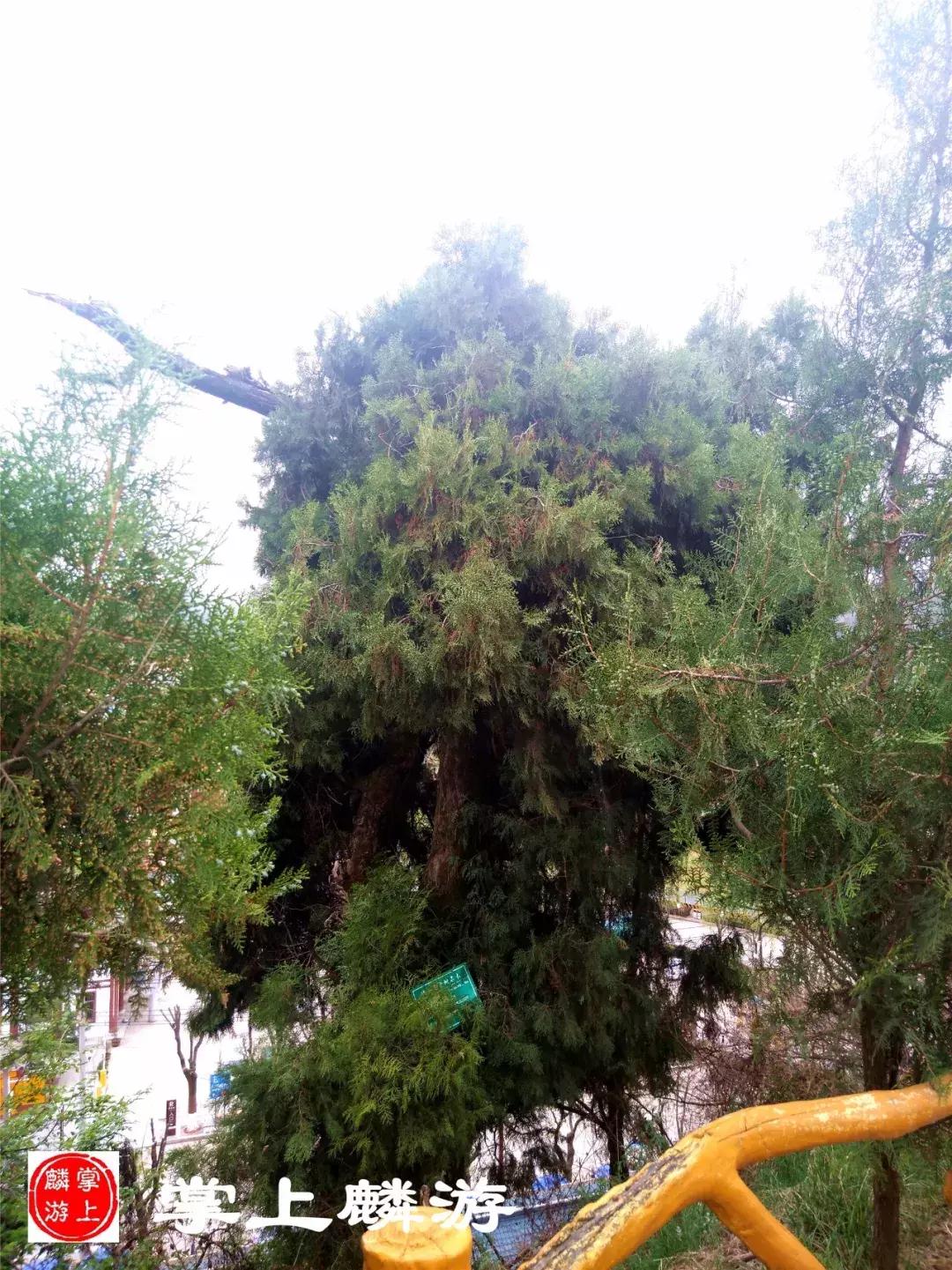 麟游旅游攻略一日游,宝鸡五一游攻略